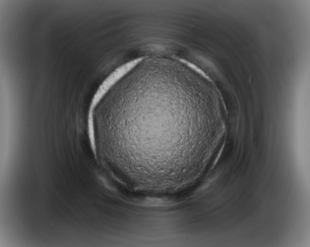 X0000085320457200703302048