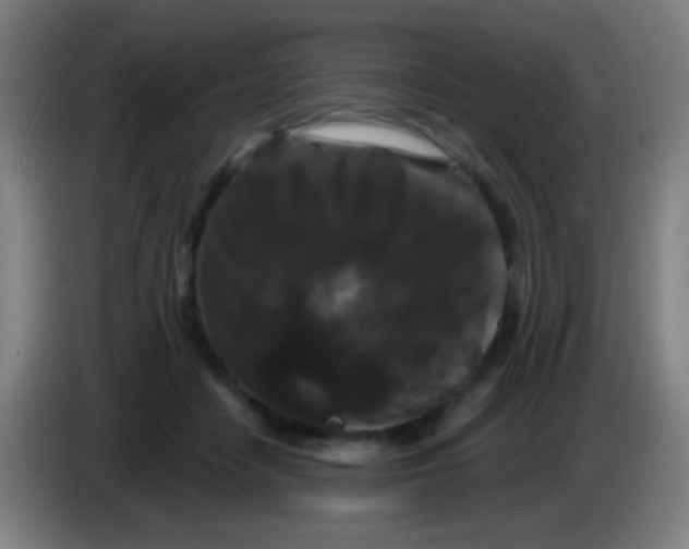 X0000085320458200703302048