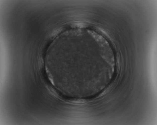 X0000085320459200703302048