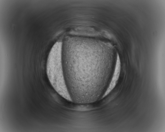 X0000085320461200703302048
