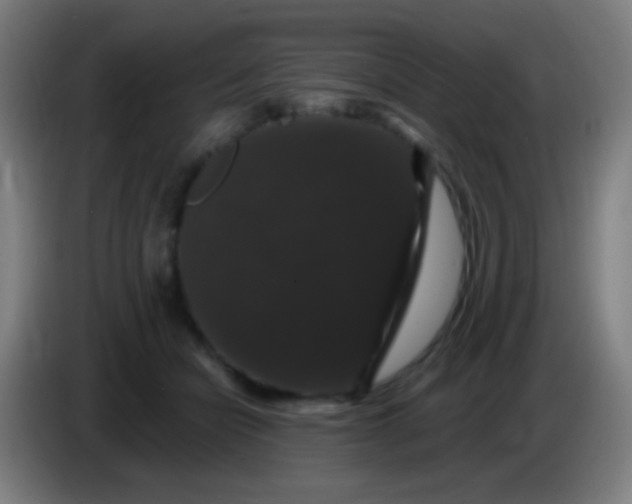 X0000085320462200703302048