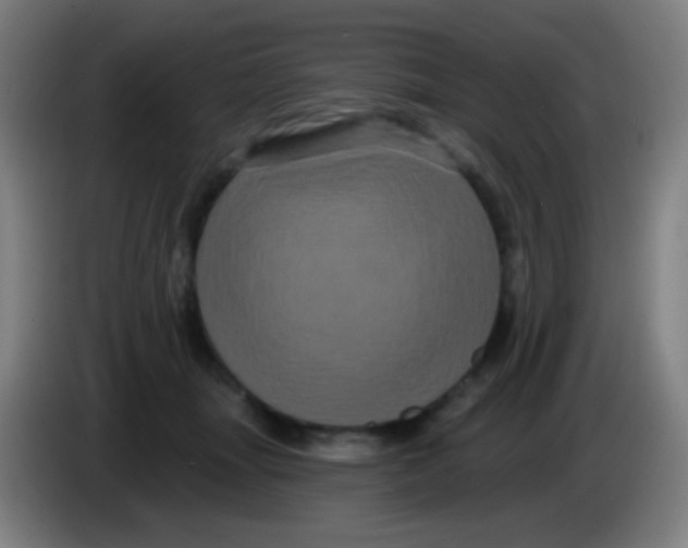 X0000085320463200703302048