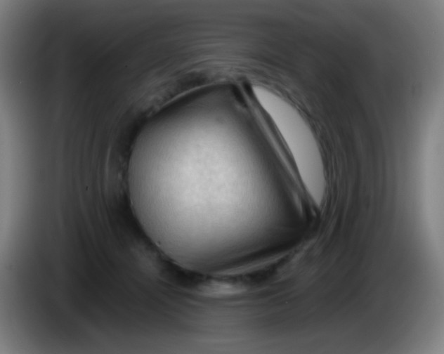 X0000085320464200703302048