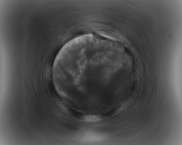 X0000085320465200703302048