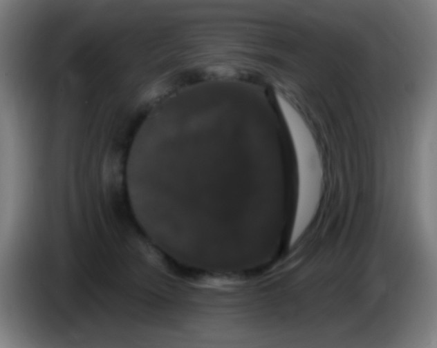 X0000085320466200703302048