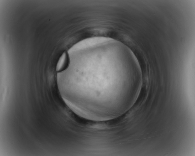 X0000085320468200703302048