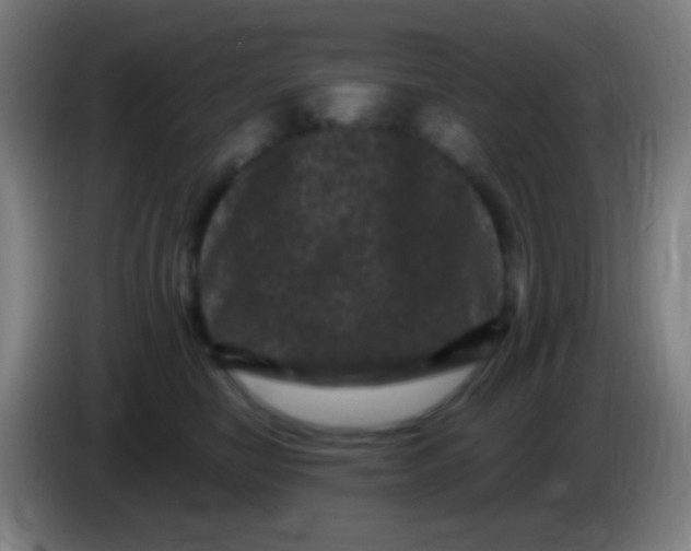 X0000085320470200703302048