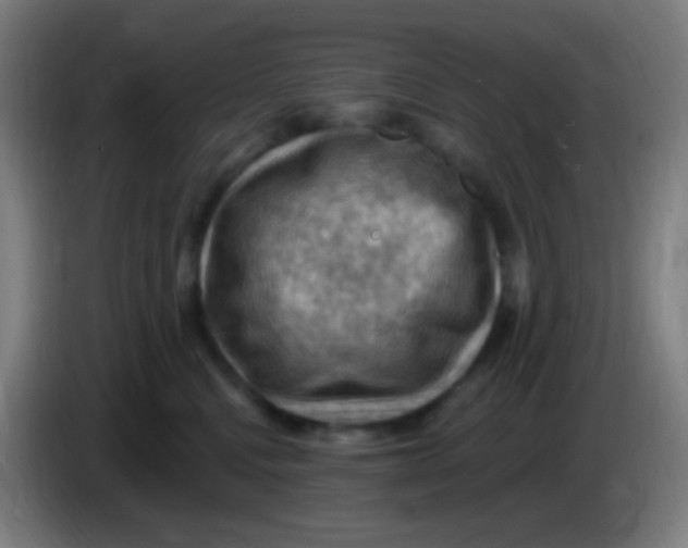 X0000085320472200703302048