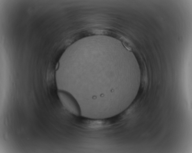 X0000085320473200703302048