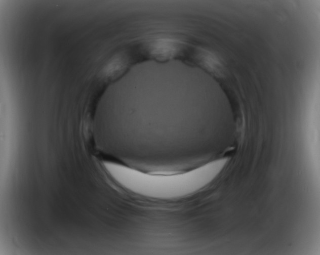 X0000085320474200703302048
