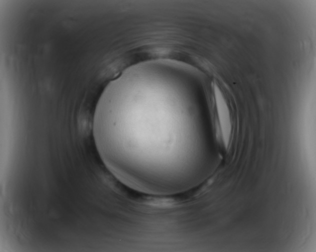 X0000085320476200703302048