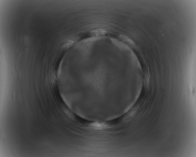 X0000085320477200703302048