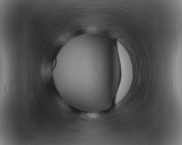 X0000085320478200703302048