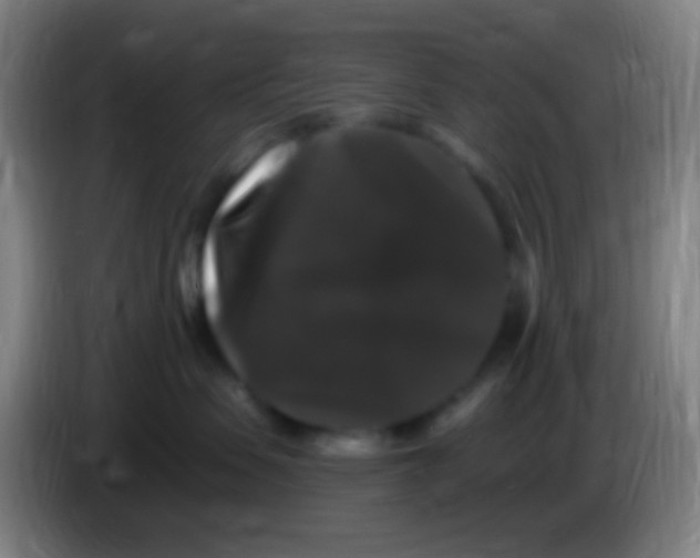 X0000085320479200703302048