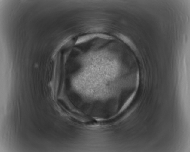 X0000085320481200703302048
