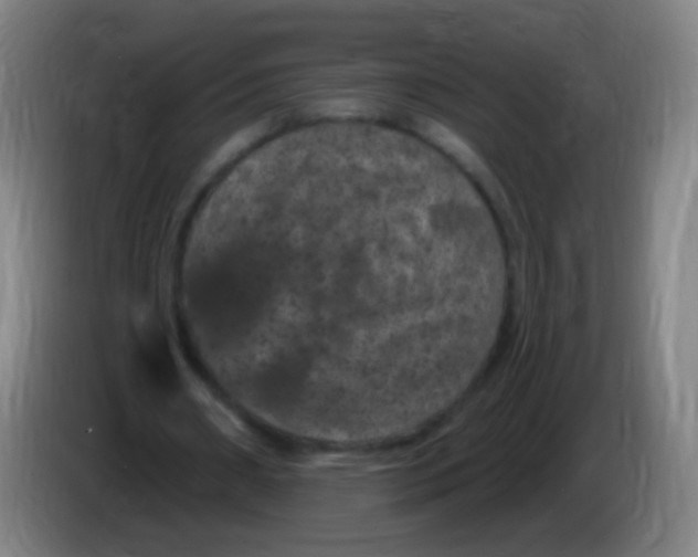 X0000085320482200703302048