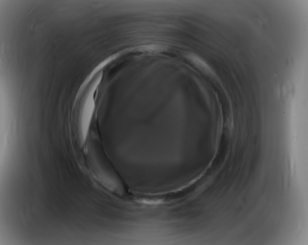 X0000085320484200703302048