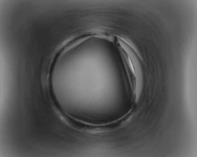 X0000085320485200703302048