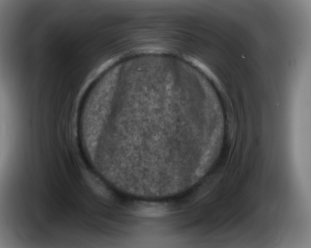 X0000085320486200703302048