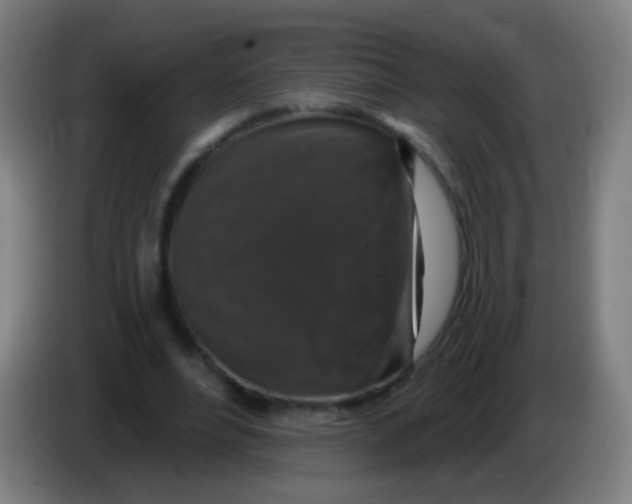 X0000085320488200703302048