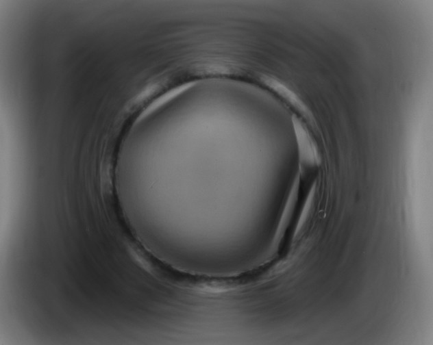 X0000085320489200703302048