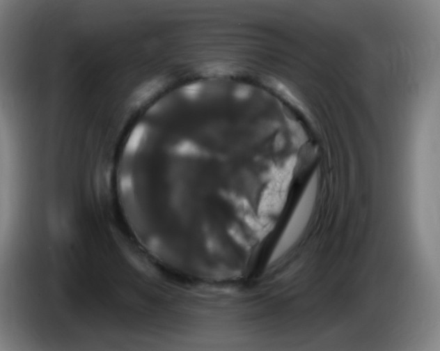 X0000085320491200703302048