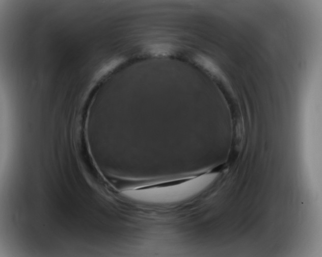 X0000085320492200703302048