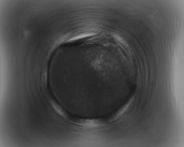 X0000085320493200703302048