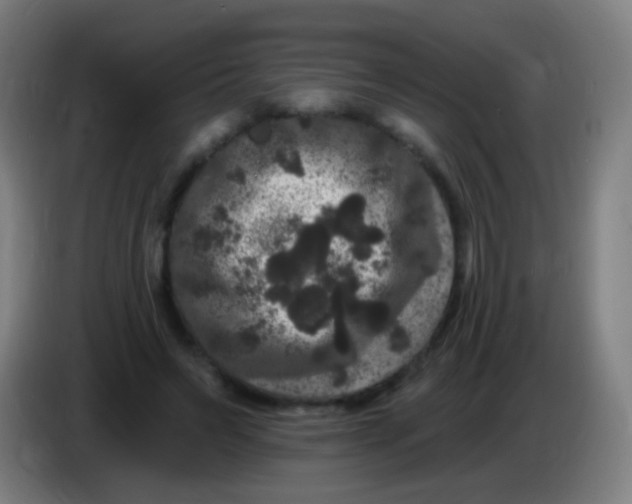 X0000085320495200703302047