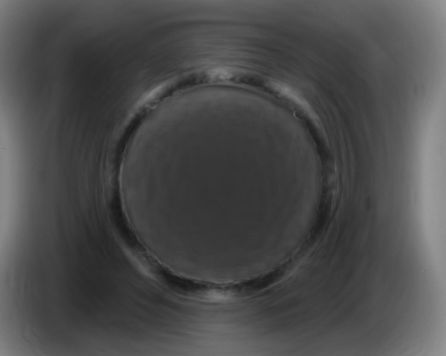 X0000085320496200703302047