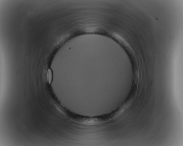 X0000085320497200703302047