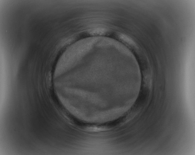 X0000085320498200703302047