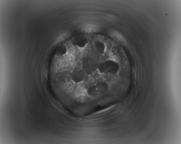 X0000085320499200703302047