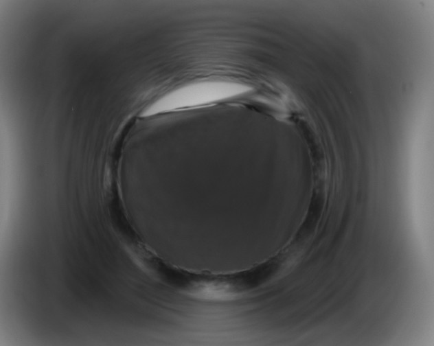 X0000085320500200703302047