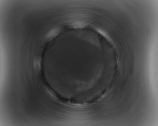 X0000085320501200703302047
