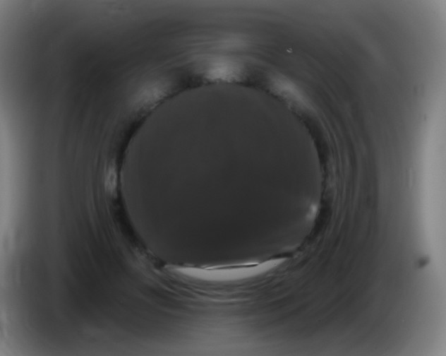 X0000085320502200703302047