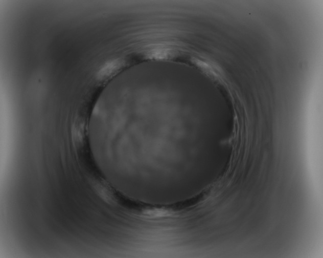 X0000085320503200703302047