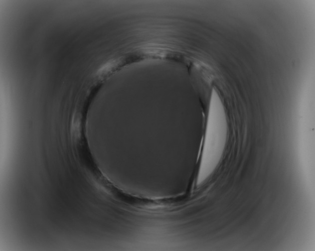 X0000085320504200703302047