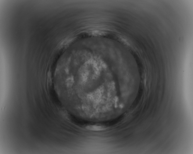 X0000085320506200703302047
