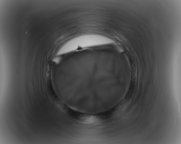 X0000085320507200703302047