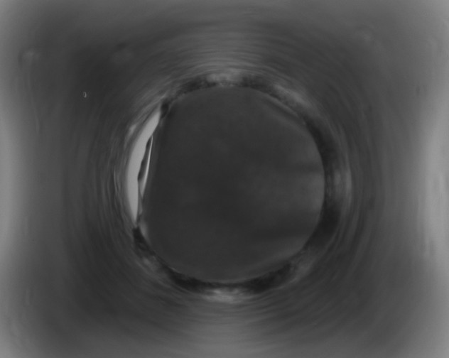 X0000085320508200703302047