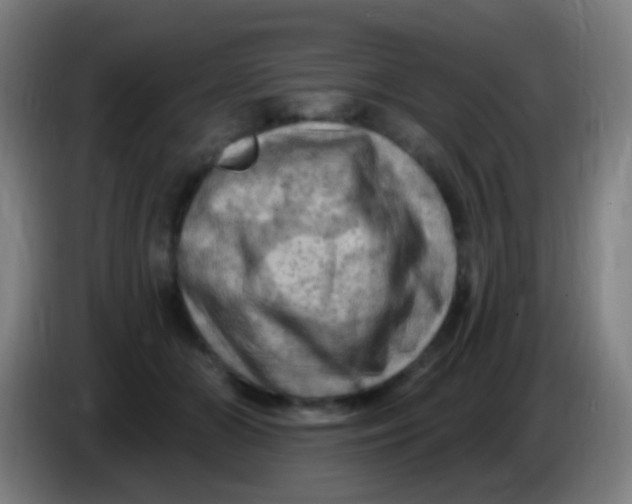 X0000085320510200703302047