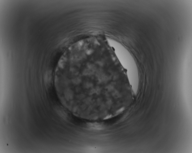 X0000085320511200703302047