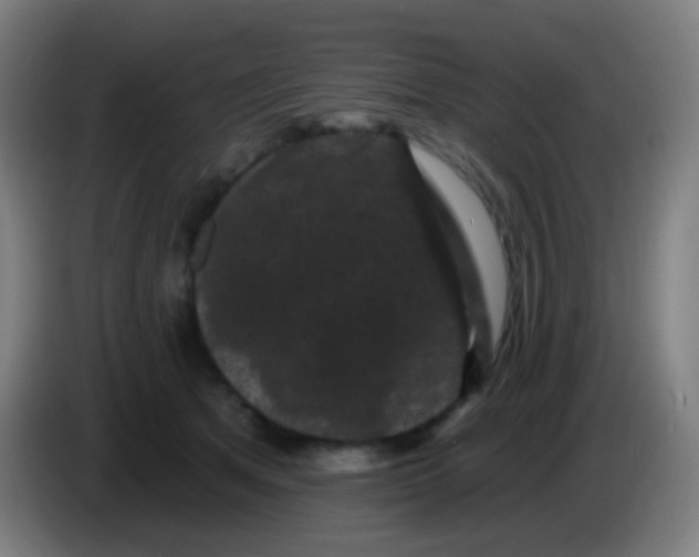 X0000085320513200703302047