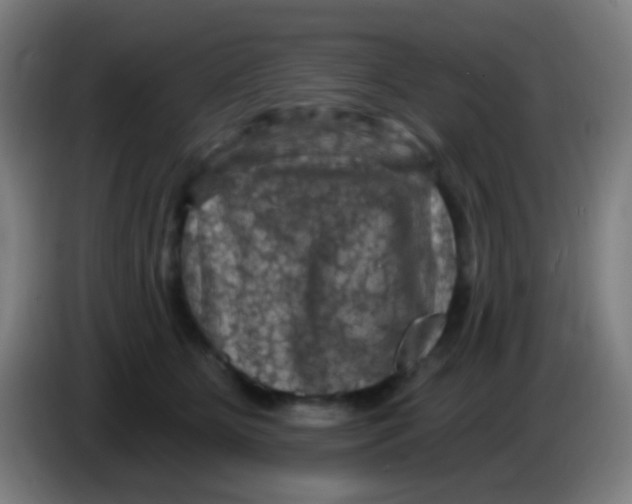 X0000085320515200703302047
