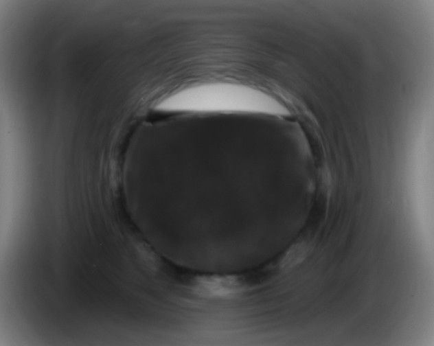X0000085320517200703302047
