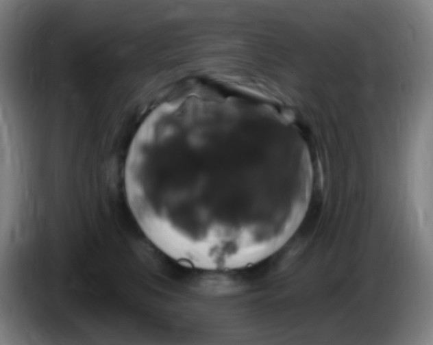 X0000085320519200703302047