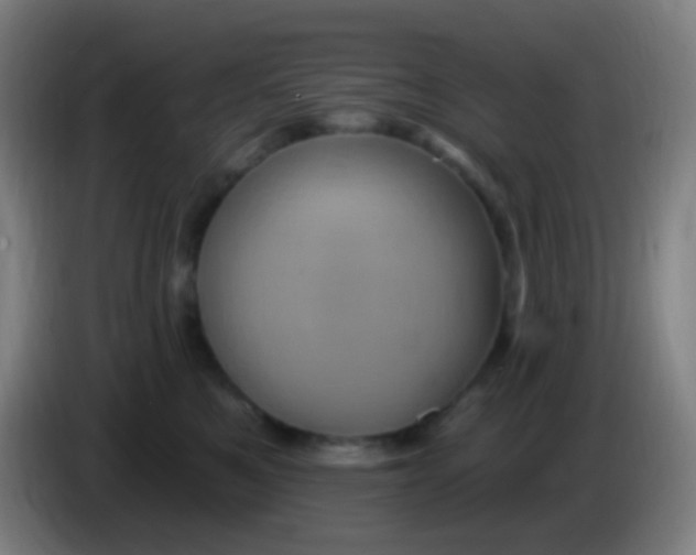 X0000085320521200703302047