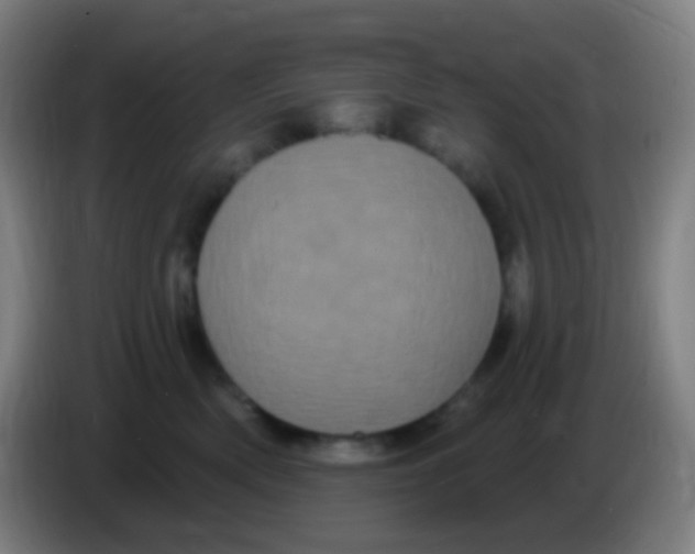X0000085320522200703302047