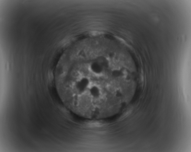X0000085320523200703302047